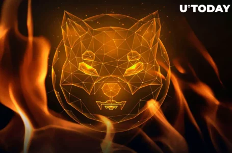 Shiba Inu (SHIB) Burn Rate Jumps 459%, Watch What Happens Next