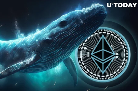 Ethereum Whale Moves $46 Million in ETH Across Binance, Bitfinex and Aave: Details