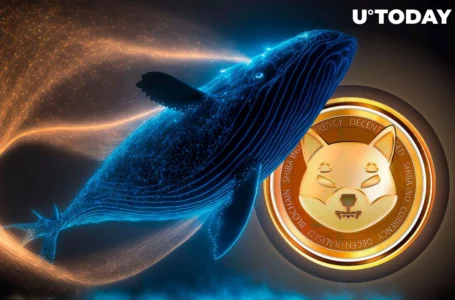 Trillions of SHIB Transferred, Who Stands Behind This?