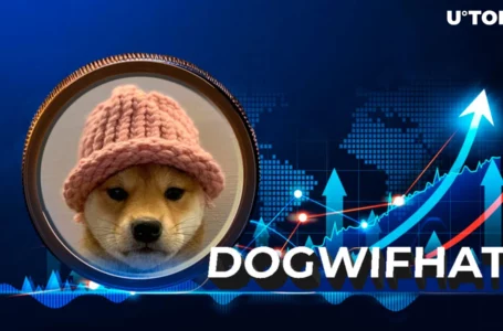Solana Meme Coin Dogwifhat (WIF) Overtakes Top 300 With Jaw-Dropping 56% Rise