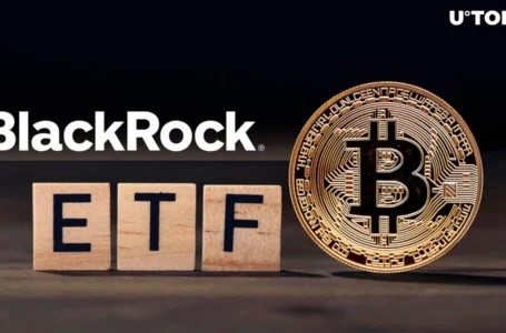 BlackRock’s Bitcoin ETF ‘Huge Success’ by All Metrics, High-Ranking Rep Says