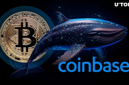 Mysterious Bitcoin Whales Send $910 Million in BTC to Coinbase Institutional