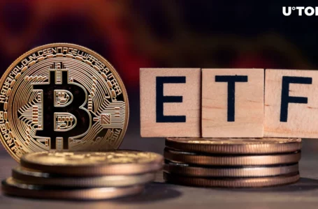 $15,000,000: Bitcoin ETFs Registered Lowest Positive Inflow Since Launch
