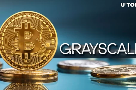 Bitcoin (BTC) Price Dragged by Two Trends, IntoTheBlock Data Says