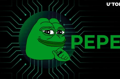 Pepe Makes Important Clarification on Strange PEPE Token Transactions
