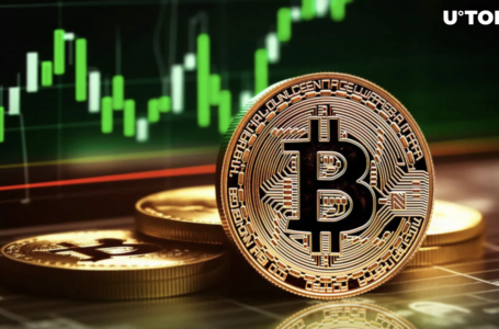 Key Reason Why Bitcoin (BTC) Volatility Has Collapsed