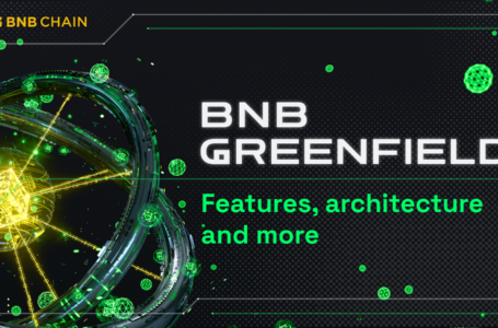 BNB Greenfield Review: The BNB Chain’s Solution To Decentralized Data Storage