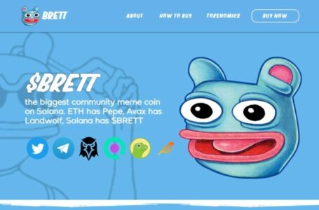 Brett Review: Everything To Know About