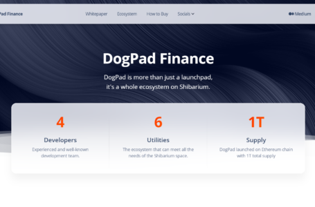 DogPad Finance Coin Review: All To Know About