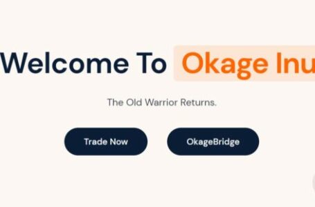 Okage Inu Coin Review: All To Know About