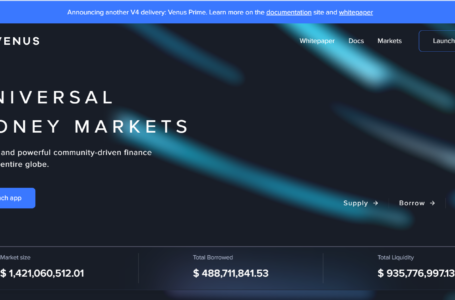 Venus.io Crypto Review: An Algorithmic Money Market