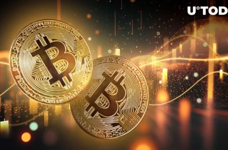 Bitcoin (BTC) Shows Promise for Fifth Straight Profitable Month in January