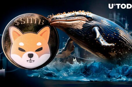 Shiba Inu (SHIB) Witnesses Mysterious $44.6 Million Whale Activity