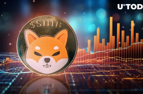 Shiba Inu (SHIB) Price Performance Is Worrying, Here’s Why