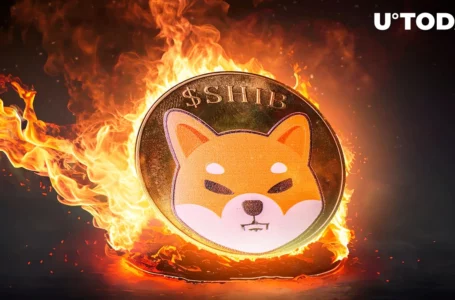 SHIB Burn Rate Skyrockets 27,510% as SHIB Team Destroys 9.3 Billion Shiba Inu
