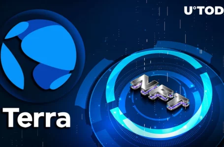Terra (LUNA) Issues Important Notice to NFT Projects: Details