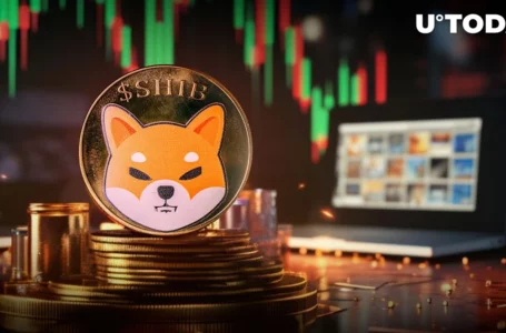 Shiba Inu (SHIB) On-Chain Activity Disappears, and Reason Is Unclear