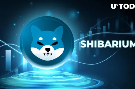 Shiba Inu’s Shibarium Skyrockets Whopping 140% in Transaction Activity