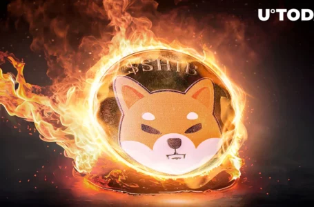 SHIB Burn Rate Turns Positive as Bulls Prepare for Shiba Inu Price Rally