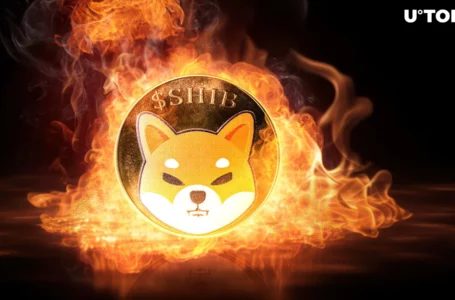 SHIB on Fire as Burn Rate Skyrockets 4,907%, Shiba Inu Price Next?