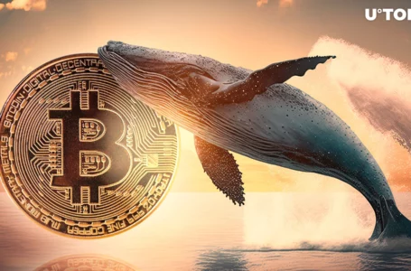 Bitcoin Whales Boost Holdings by $3 Billion