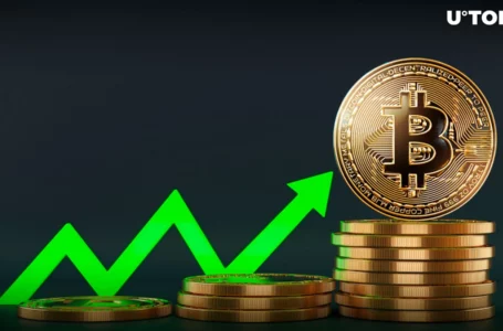 Bitcoin Price History Signals Double-Digit Growth in February