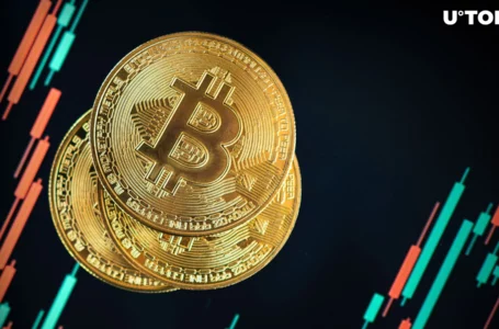 Bitcoin (BTC) Sees Huge Accumulation Trend Amid 48% Surge in New Addresses