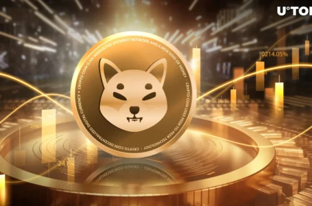 Mind-Blowing 800 Billion Shiba Inu (SHIB) on Move: What’s Happening?