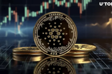 Cardano Sees Significant Jump in New Wallets