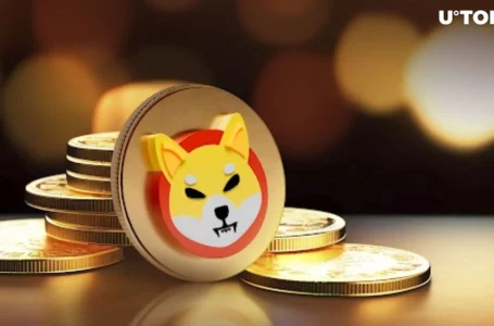 Shiba Inu Team’s Tweet Excites SHIB Community, Here’s Why