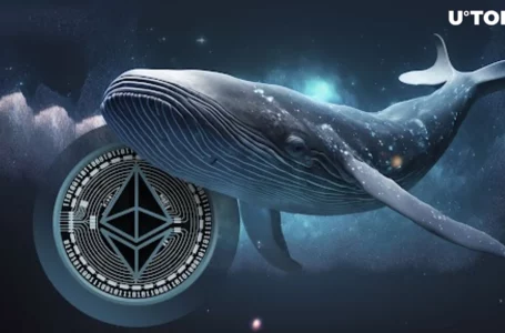 Ethereum Whale Goes All in on ETH in Brave Move as Price Skyrockets