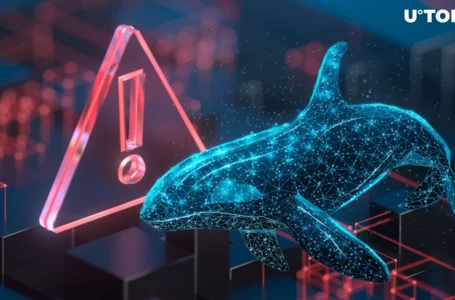 stETH Whale Attacked by Hackers, Substantial stETH Amount Lost