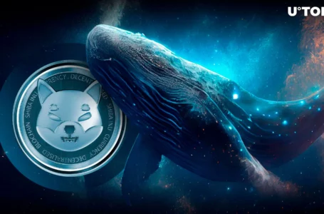 Shiba Inu Skyrockets 514% On-Chain as Whales Shift Trillions of SHIB