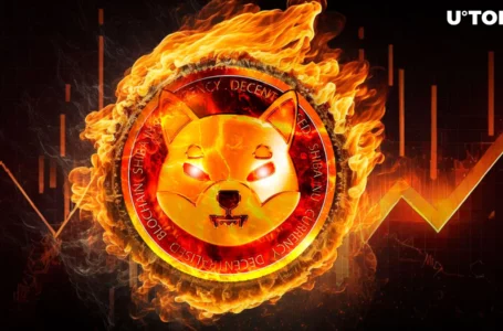 Shiba Inu (SHIB) Burn Rate Jumps 282%, But Don’t Celebrate Yet