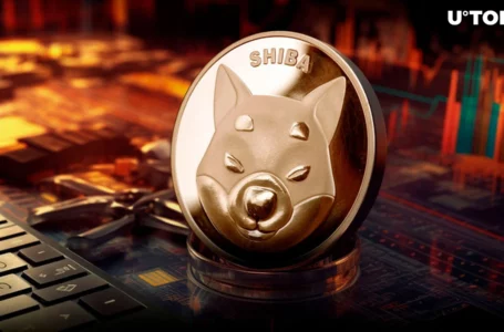 225 Billion Shiba Inu (SHIB) Disappear From Major US Exchange in Unknown Wallet