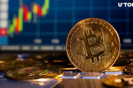 90% of All Bitcoin in Highest Profit Since 2021 ATH: PlanB Analyst