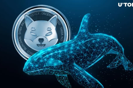Shiba Inu Spikes 300% On-Chain as 5.68 Trillion SHIB Shifted by Whales