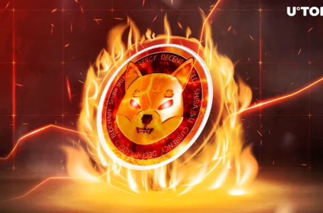 Shiba Inu (SHIB) Price Eyes Further Gains as Burn Rate Skyrockets by 191%