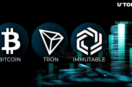 3 Cryptocurrencies With Address Profitability Above 85%
