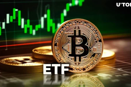 Bitcoin ETFs Pump $500 Million Amid BTC Price Rally