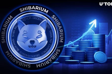 Shiba Inu Sees 50% Surge in Shibarium Activity as SHIB Price Finds Key Support