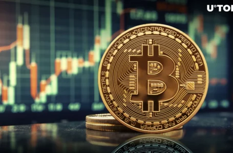 Key Reasons Why Bitcoin Price Is Pumping Today