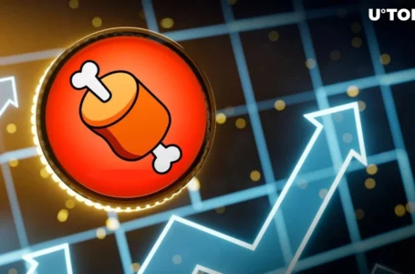 SHIB Team Plans to Burn BONE and All Other Top Shibarium Tokens: Details