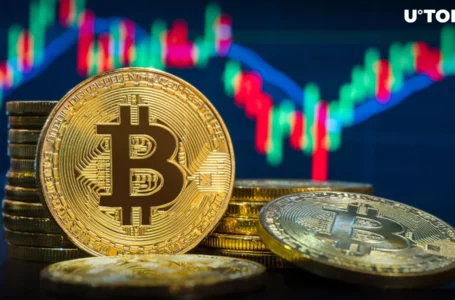 Bitcoin (BTC) Cycle Top Near? Check Out This Metric