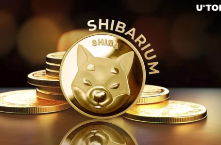 Shibarium and Shiba Inu’s Correlative Growth: Data Insight