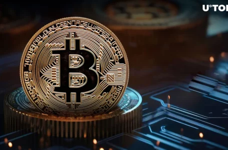 Nearly $1 Billion in Bitcoin Disappears After Transfer From Major US Exchange