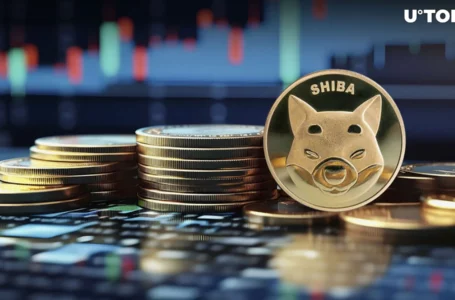 Shiba Inu (SHIB) Soars 243% in On-Chain Whale Hysteria