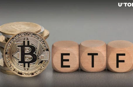 Giant $14 Billion in Bitcoin (BTC) Accumulated by ETF Providers