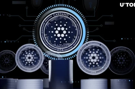 Biggest Cardano (ADA) dApp Teases Incoming Upgrade: Details