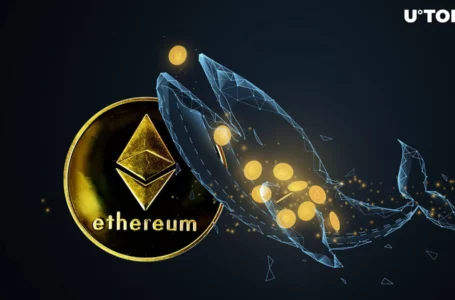 Massive Ethereum Whale Makes Surprising Move After ETH Hit $3,000
